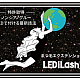 LED iLash 【特許取得商品】NONシアノグルー LED付ける最新技法!